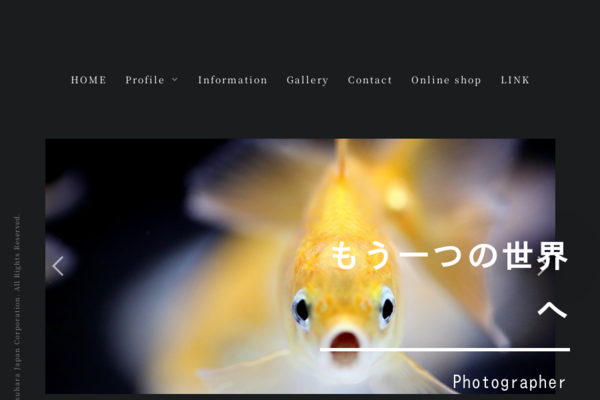 富士に魅せられて 中津清次　写真集 パート2 廃盤　レア　入手困難　プレミア HOME│中津原勇気公式ホームページ